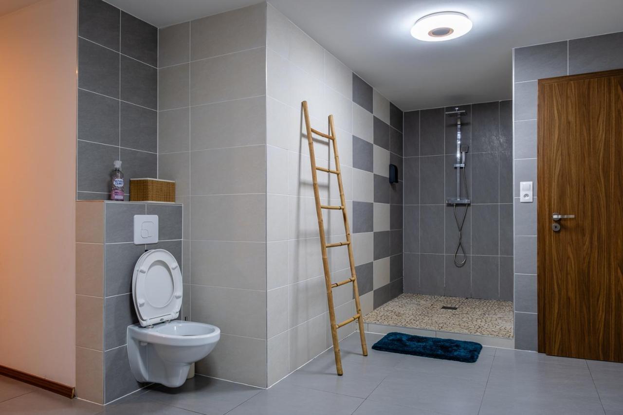 Appartement Standing Piscine Interieur Privatisee . Mutzig Luaran gambar